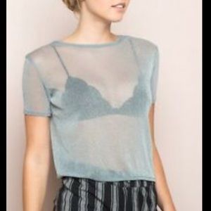 Brandy Melville See Thru Crop Top